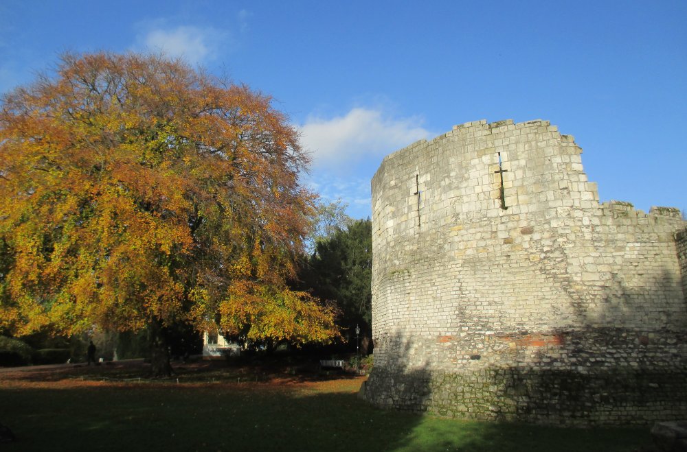 Buildings in Museum Gardens St Mary's Abbey, Hospitium, York, history ...