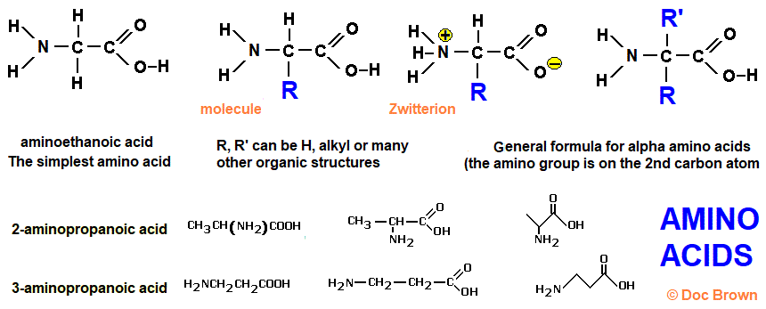 zwitterions molecular structure of alpha amino acids aminoethanoic acid structural formula 2-aminopropanoic acid 3-aminopropanoic acid skeletal formula
