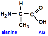 CH3CH(NH2)COOH, alanine (ala), 2-aminopropanoic acid amino acid chemistry  molecular structure structural formula advanced level organic chemistry