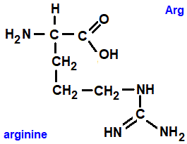  amino acid chemistry  molecular structure structural formula advanced level organic chemistry