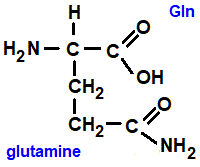H2NCOCH2CH2CH(NH2)COOH, glutamine gln), has an extra amide group amino acid chemistry  molecular structure structural formula advanced level organic chemistry