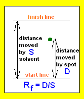 diagram of paper/thin layer chromatography at the end