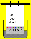chromatography at start