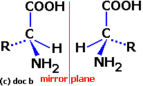 structural formula diagram of R/S optical isomers of alpha-amino acids stereoisomers enantiomers stereoisomerism molecular structure