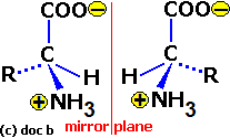 skeletal diagram of R/S optical isomers of zwitterions of alpha-amino acids stereoisomers enantiomers stereoisomerism ionic structure